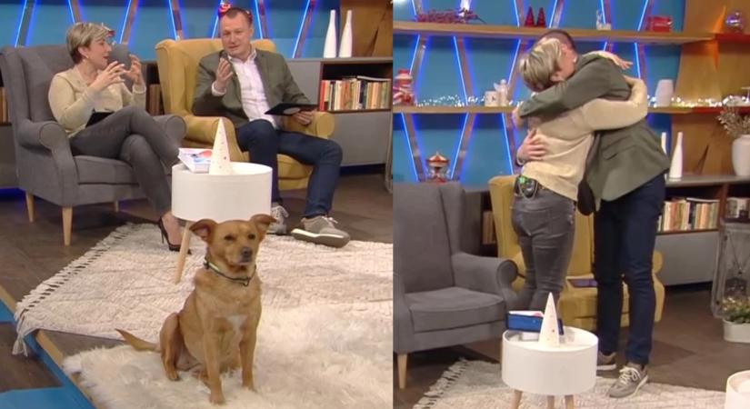 Ábel Anita és Szujó Zoltán megünnepelték az ölelés világnapját