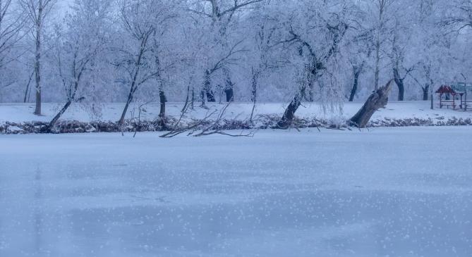 Jégvirágok nyíltak a Kis-Tisza befagyott holtágának jegén