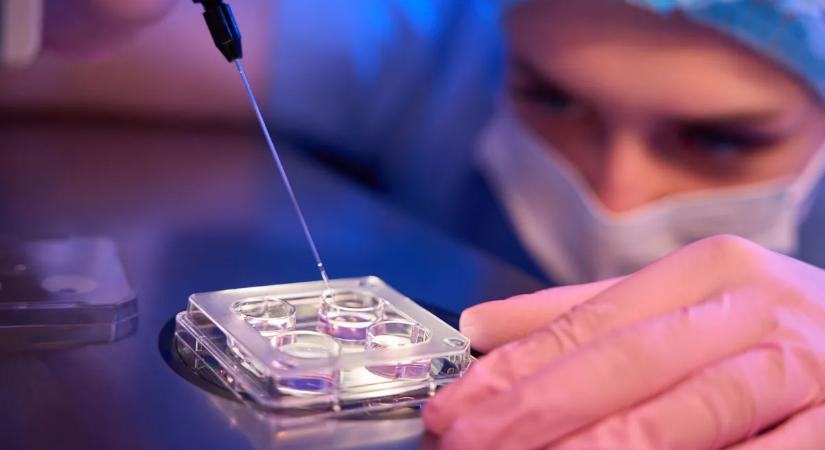 Halálos járvány ütötte fel a fejét: több mint 600 fertőzöttről tudnak eddig