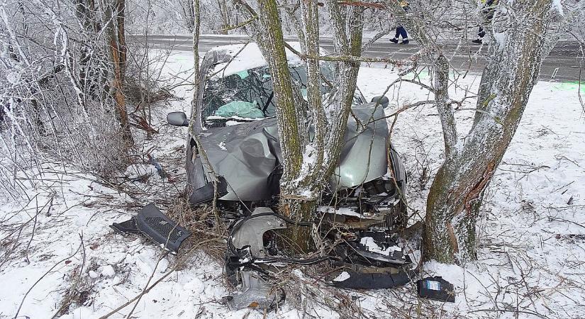 Az útszéli fák állították meg a Hódmezővásárhely közelében lesodródott autót – galéria