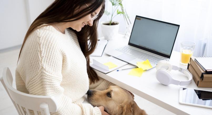 Négylábú kollégák az irodában – hódítanak a kutyabarát munkahelyek