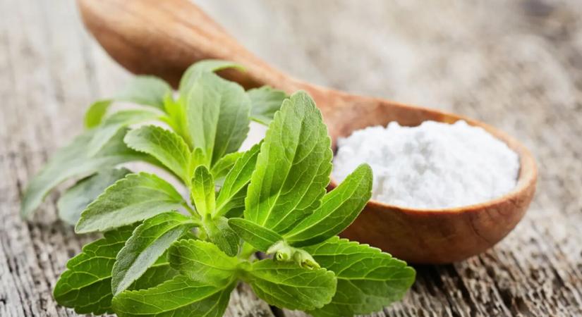 12 gyakori étel, amely rohamosan rombolja az egészséged