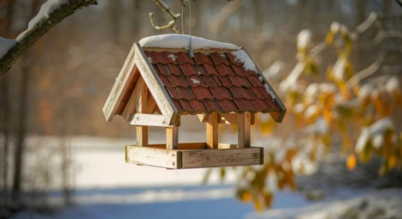 Miért maradnak üresen a madáretetők a legnagyobb hidegben?