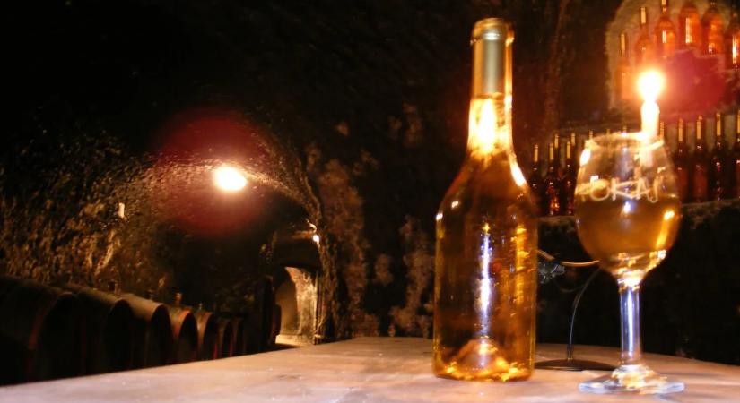 Jósol a Vince-nap: a neves borász szerint ilyen lesz az idei termés és évjárat