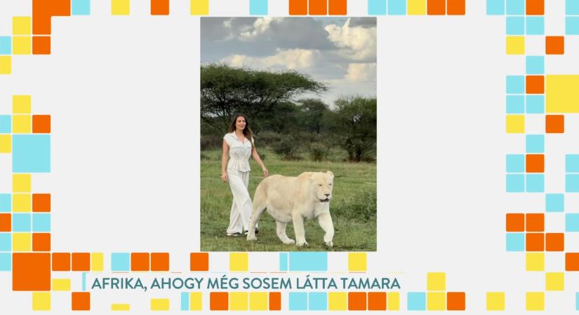 Álomszafari Tanzániában: Cserháti Tamara családosjával utazott Afrikába