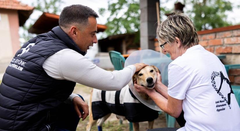 Igazságot szolgáltattak Rozinak, megszületett az ítélet az állatkínzó ügyében