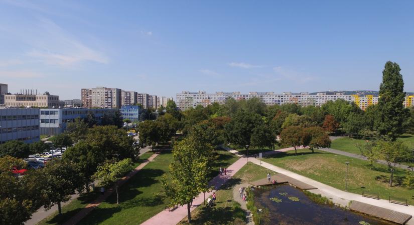 Vízáteresztő burkolatok szerepe a parképítésben