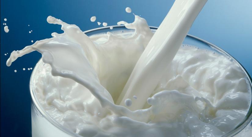 Lejtmenetben a magyar tejtermelés? Érdekes számokat közöltek