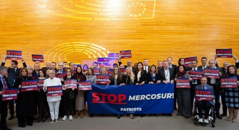 Óriási siker: Győztek a gazdák és a Patrióták az Európai Parlamentben!