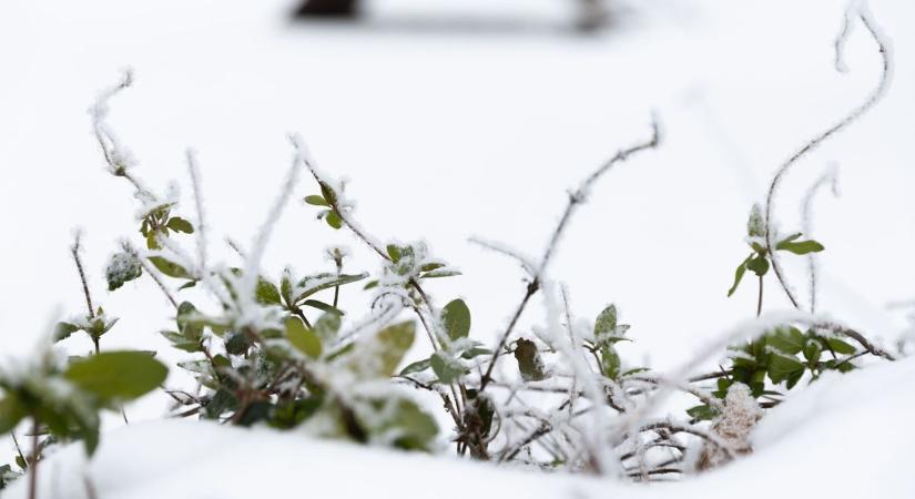 Ma csontig hatolt a hideg – vajon csütörtökön is közelít a mínusz 20 fokhoz?