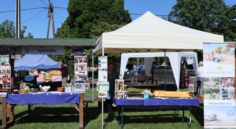 Régió Fesztivál – KultúrÉtlap 2026 Vonyarcvashegy