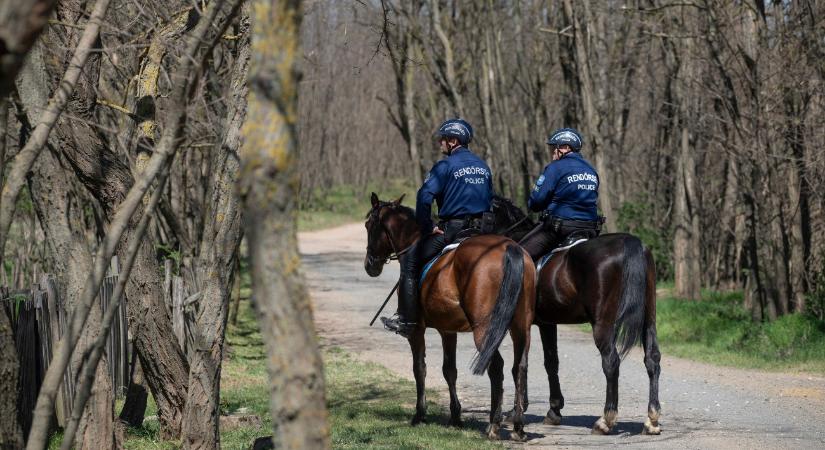 Nekihajtott a lovas rendőröknek, majd felgyújtotta az autóját