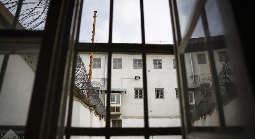 Autója után húzta a kutyáját, most jogerősen elzárásra ítélték