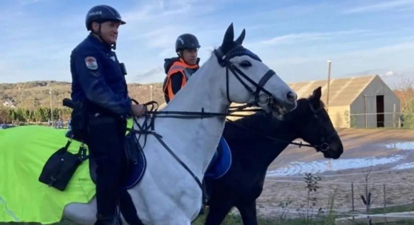 Megvakult a dühtől egy sofőr, egyenesen a lovas rendőrnek hajtott