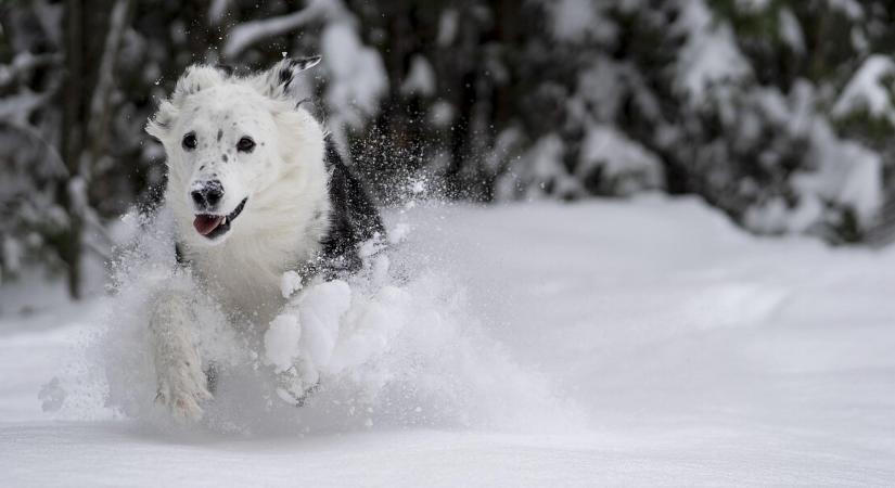 Vigyázat az utakon! Ónos szitálás és sötét szürkeség nehezíti a csütörtöki közlekedést – mutatjuk a friss előrejelzést