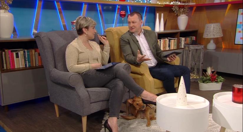 Ábel Anita: „Ladán tanultam, így bármit el tudok vezetni”