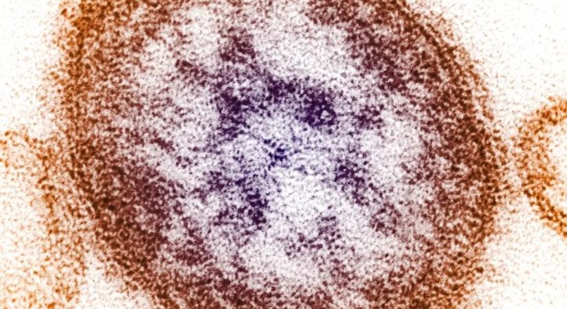 Járványveszély Sydneyben – egyre többen fertőződnek meg