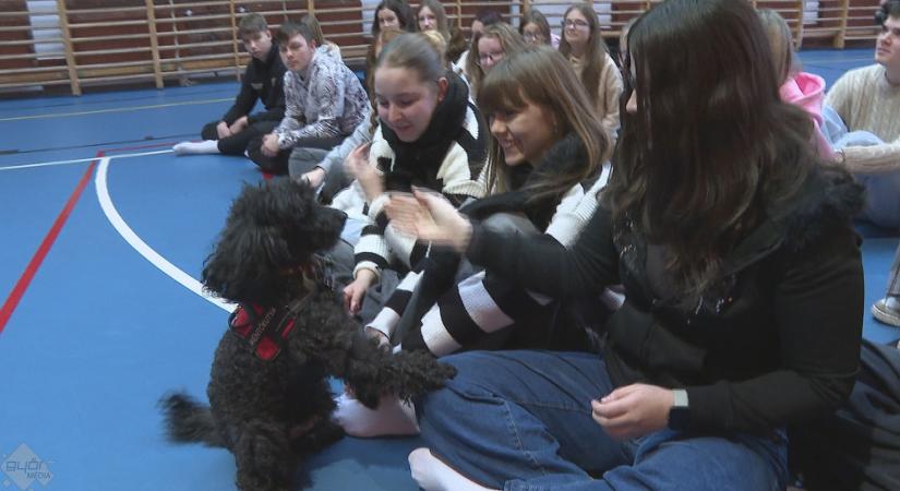 Segíteni tanulnak: jótékonysági témahét a Krúdy Technikumban