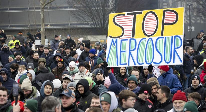 Miközben Brüsszel pezsgőt bont, a magyar vidék bajban van a Mercosur-egyezmény miatt