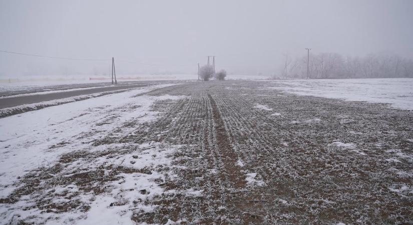 A hideg kedvez a mezőgazdaságnak