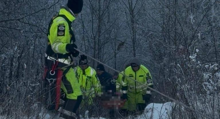 Holttestet találtak egy Gödöllő környéki erdőben