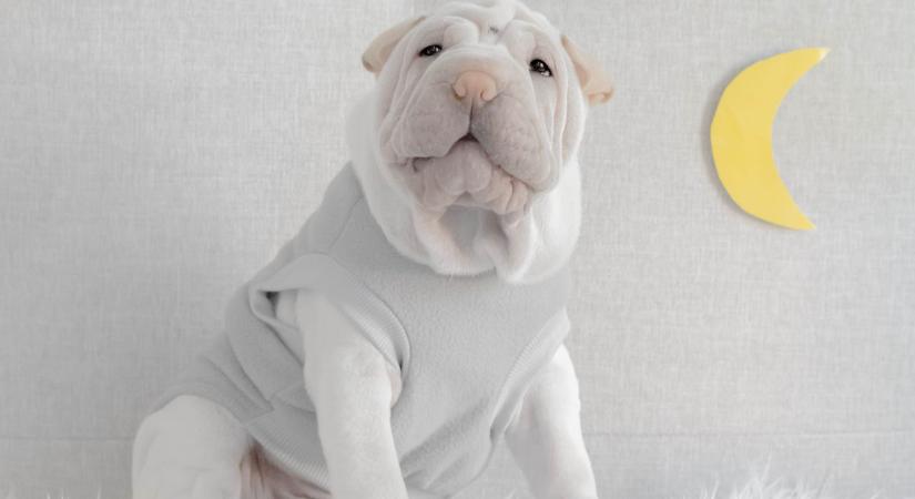 Mit tegyél Halak és Kos Hold idején, hogy minden a javadra forduljon? Holdnaptár útmutató