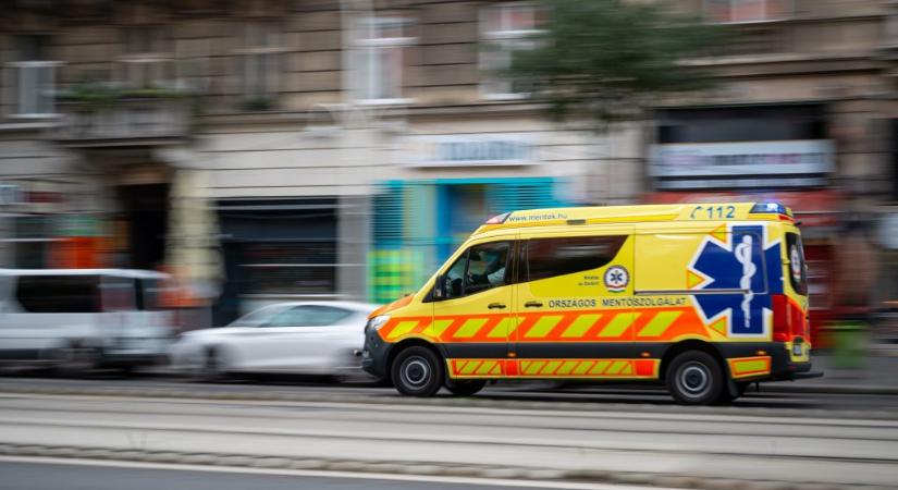 Intenzív osztályon ápolnak egy csecsemőt, akit a család kutyája harapott meg Vácon