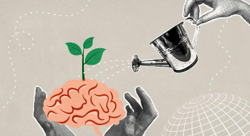 Mit tehetünk a perimenopauzás agyi köd ellen?