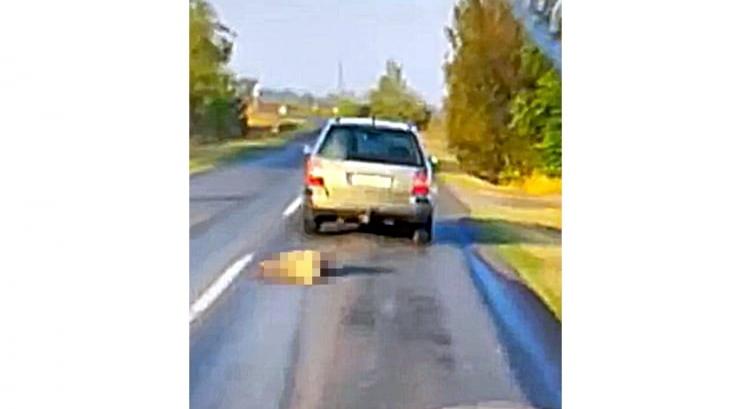 Állatkínzás: börtönbe megy a férfi, aki autója után kötötte kutyáját