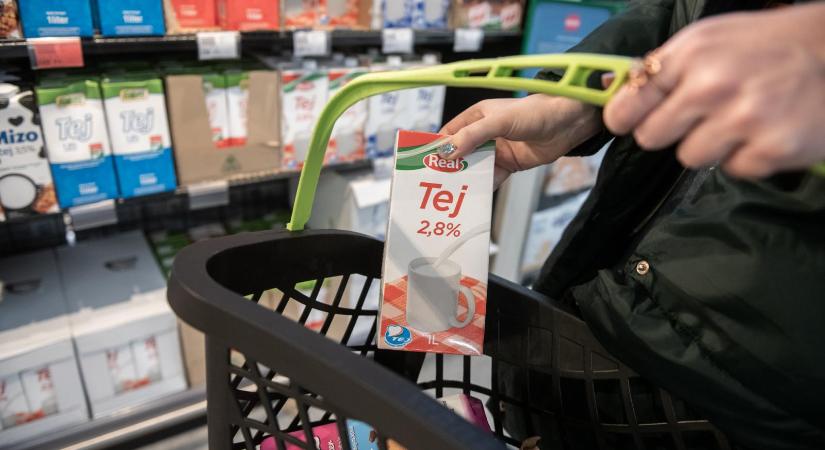 Összeomlott a tejpiac, ha a helyzet nem változik, telepek sora kerül nehéz helyzetbe Magyarországon