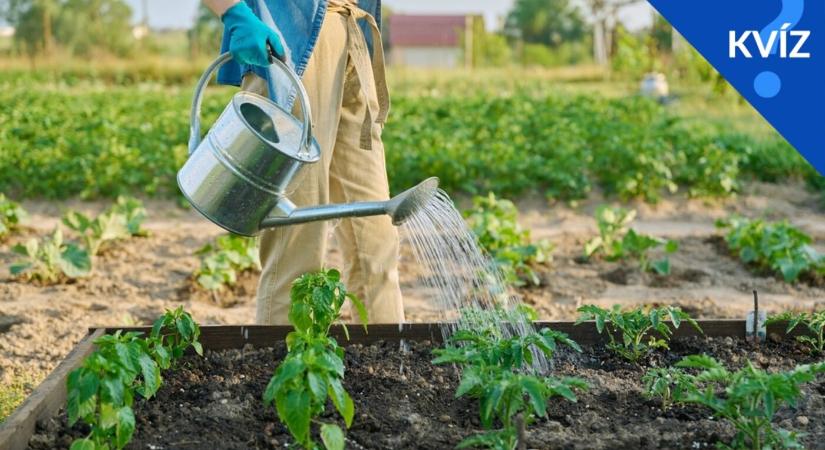 KVÍZ: Kertészeti kisokos – jobb kertész vagy az átlagnál?