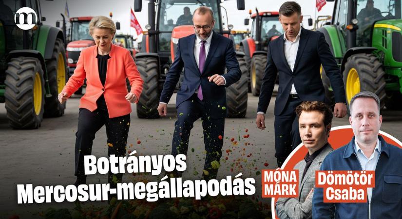 A Mercosur-megállapodás célzott támadás a gazdák ellen – Dömötör Csaba Strasbourgból