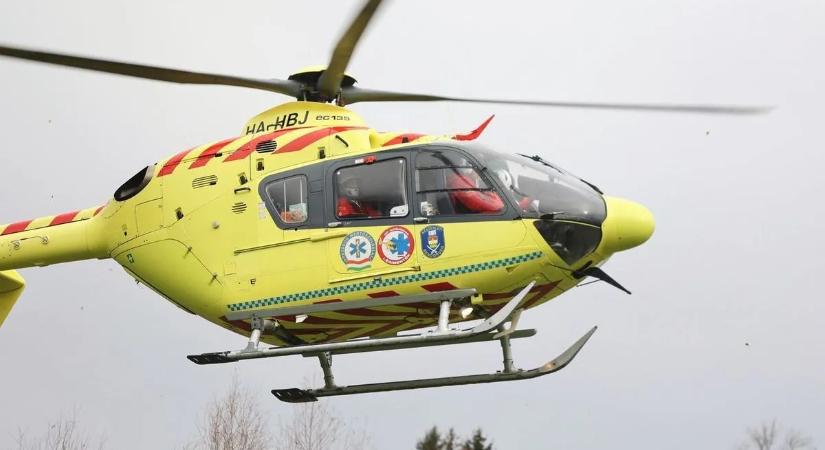 Az életéért küzd a váci csecsemő, akit a család kutyája fejen harapott