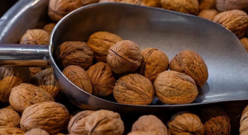 Végre fellélegezhet a diótermés? Ezt teszi a fagy a kártevőkkel