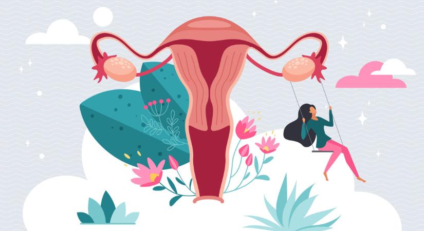 Fa tampon, biztosítőtű a bugyiban, dezodoros tampon: amiről a férfiak mit sem sejtenek, és sok nő sem