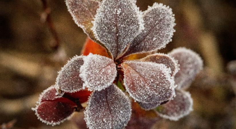 Csütörtökre megszűnik a fagy az ország nagy részén