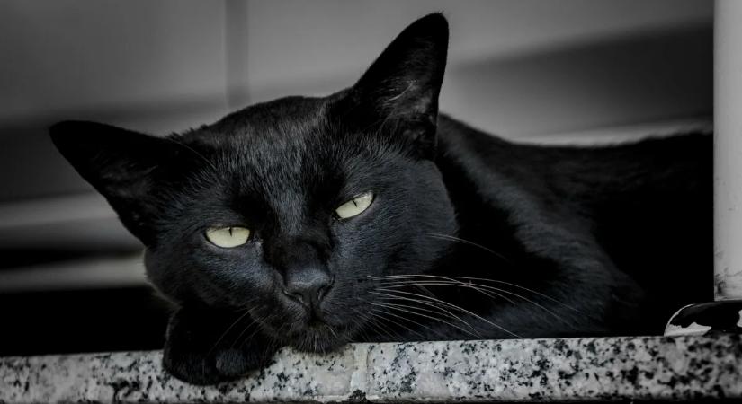 Mer válaszolni? Egyetlen hiba is balszerencsét hozhat ebben a kvízben