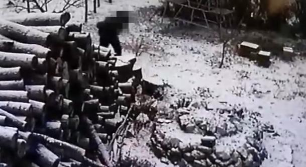 Videón az idióta tolvaj, aki kamera előtt lopott