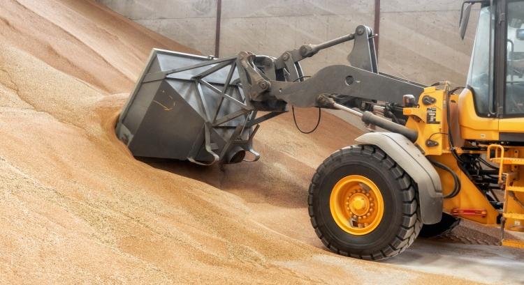 Nincs ára a búzának, meddig marad ez így?