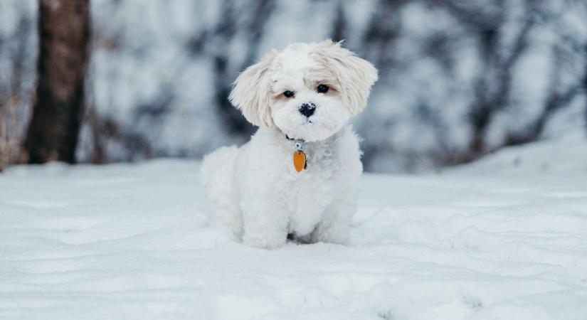 Eltűnnek a mínuszok? Meglepő fordulatot hoz a hétvégi időjárás