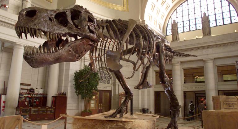 Évtizedekig tévedtek a tudósok, fény derült a dinoszauruszok királyának legnagyobb titkára