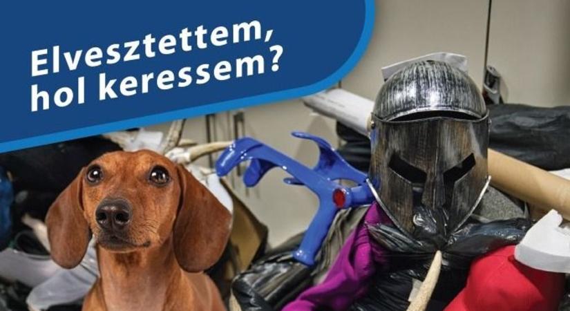 Közel 23 ezer tárgyat, köztük tacskót, mankót, járóbotot és fűrészlapot is elhagytak az utasok