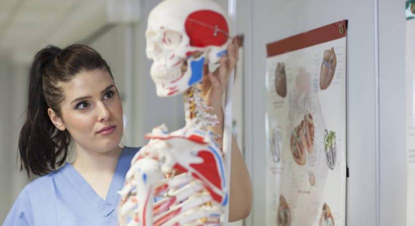 Tudod, melyik szervünk a pancreas? Alapkvíz orvosi latinból