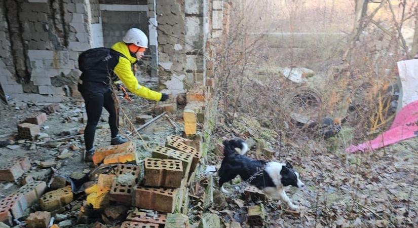 Kutyákkal kereste az eltűnt nőt az egri mentőcsapat, de már nem segíthettek rajta