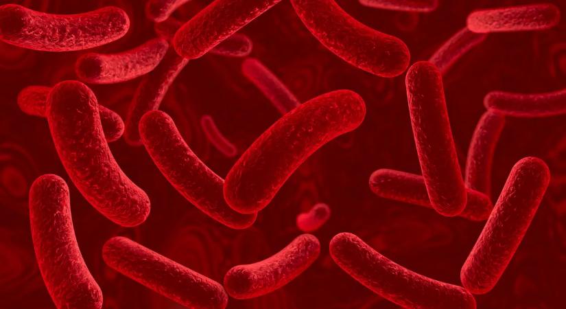 Járvány tört ki egy magyar általános iskolában, a tanulók fele megbetegedett