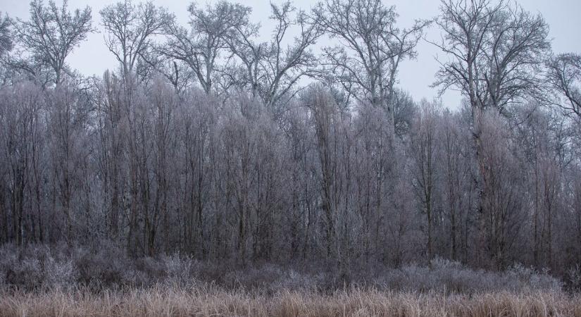 Marad a hideg, ködös idő