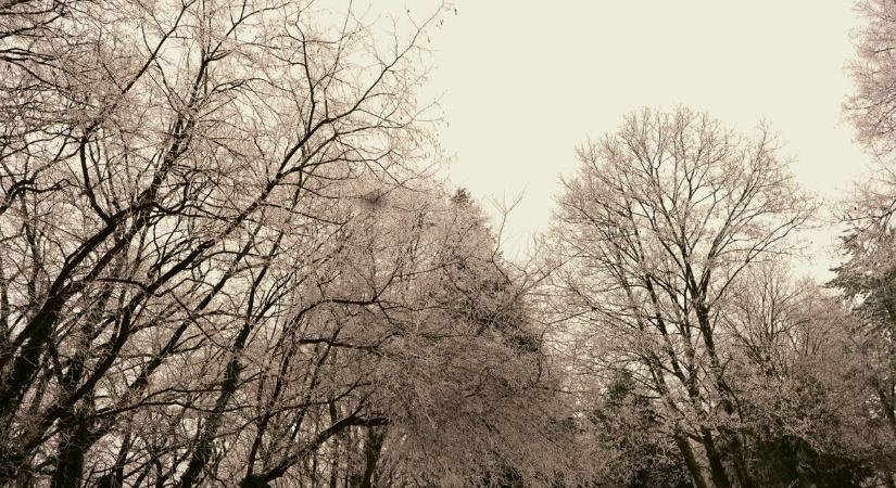 Deres világ Zalaegerszegen - nézd meg a különleges téli fotókat! (Galéria)