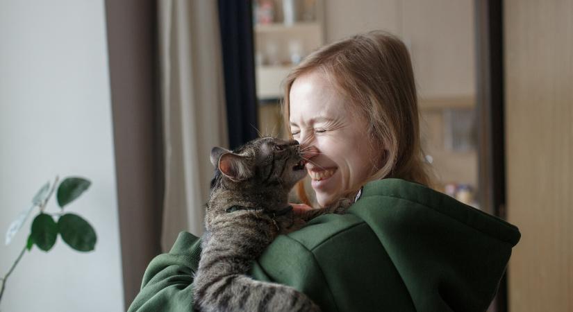 Ezért harap meg a macskád – 6-féle dolgot is jelezhet ezzel a kedvenced