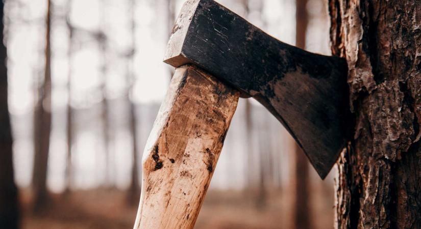 Temes megyei gyilkosság: baltával megölték a 15 éves fiút, holttestét meggyújtották