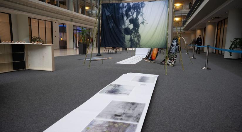 A Tisza, ahogy még nem láttad, különleges kiállítás a városban